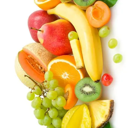 Museum - Finestra Sui Musei Vaticani