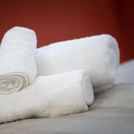 Museum - Finestra Sui Musei Vaticani Bed & Breakfast Roma