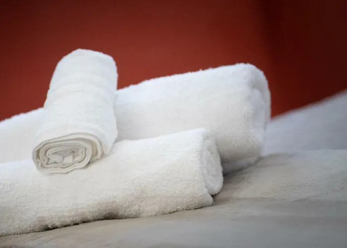 Museum - Finestra Sui Musei Vaticani Bed & Breakfast Roma